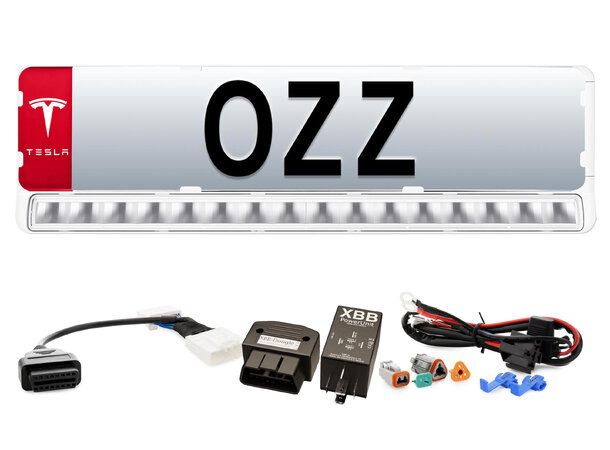 OZZ LP1 20" Complete Tesla Kit -