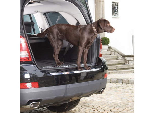 Foliatec Bagasjeterskel 9,5 x 120 cm – Beskytt mot riper