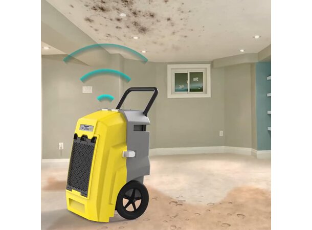 Arida Storm Pro byggtørker for profesjonell bruk