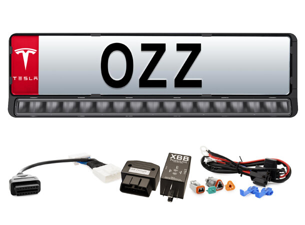 OZZ LP1 20" Complete Tesla Kit -