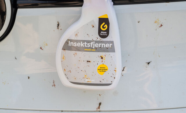 Insekter