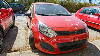 Fugleskitt på bilen